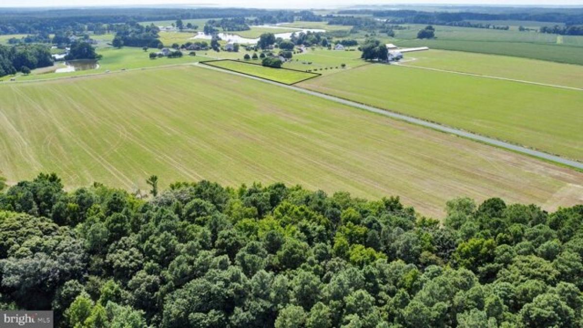 Picture of Residential Land For Sale in Princess Anne, Maryland, United States