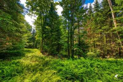 Residential Land For Sale in Lake Placid, New York