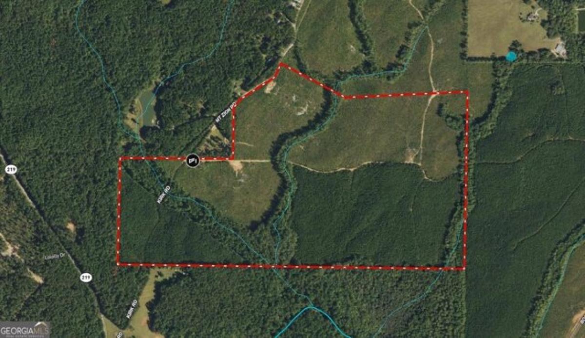 Picture of Residential Land For Sale in Franklin, Georgia, United States