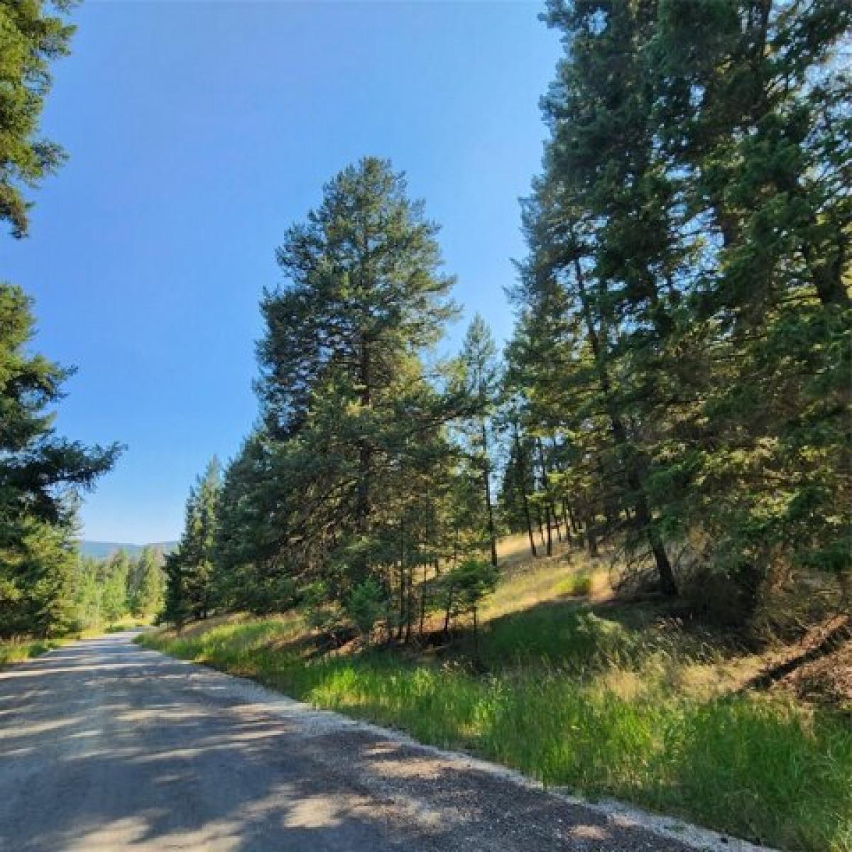 Picture of Residential Land For Sale in Kalispell, Montana, United States