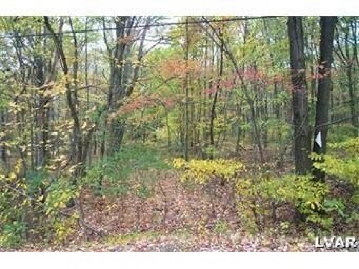 Picture of Residential Land For Sale in Bushkill, Pennsylvania, United States