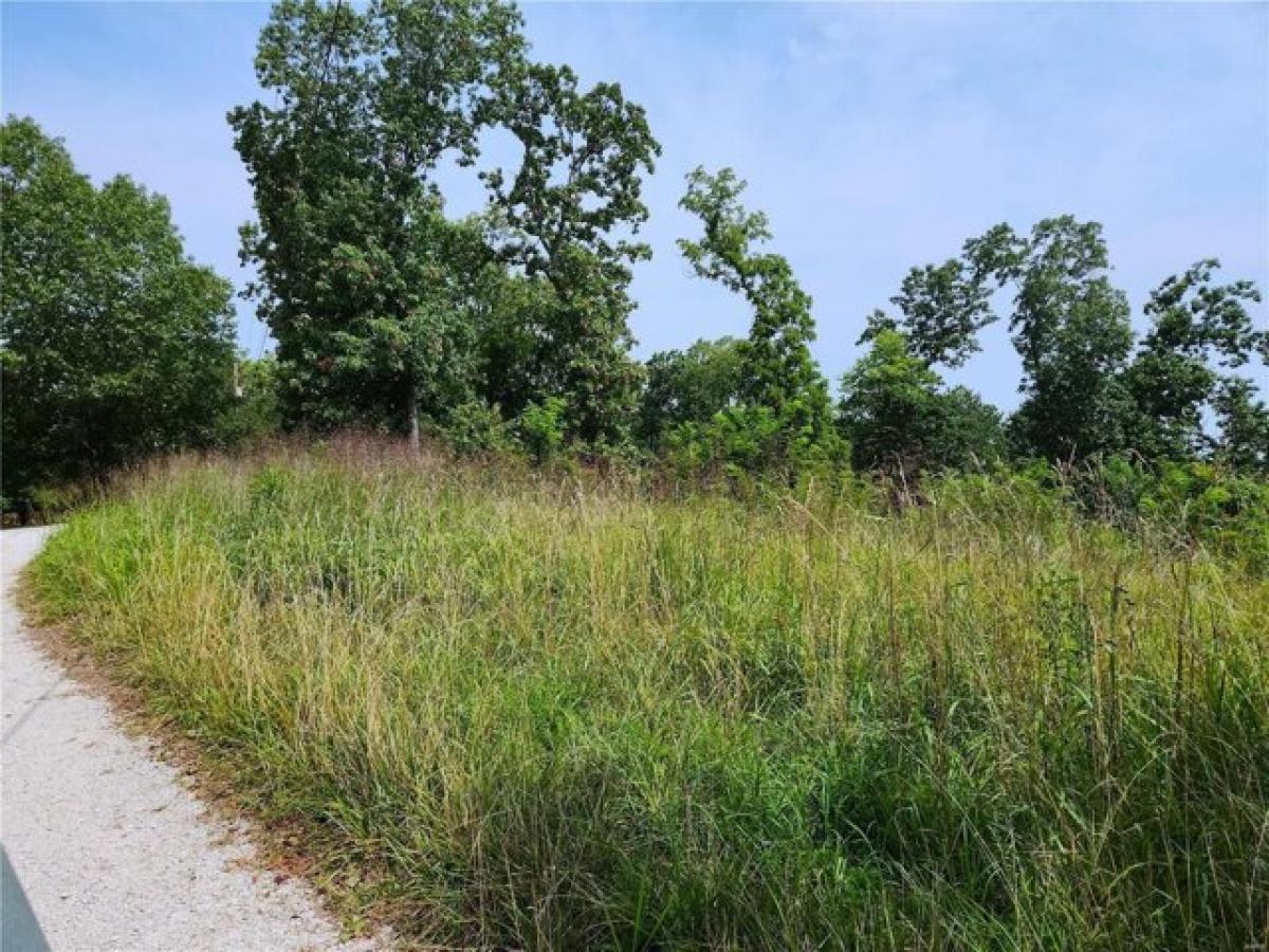 Picture of Residential Land For Sale in Barnhart, Missouri, United States