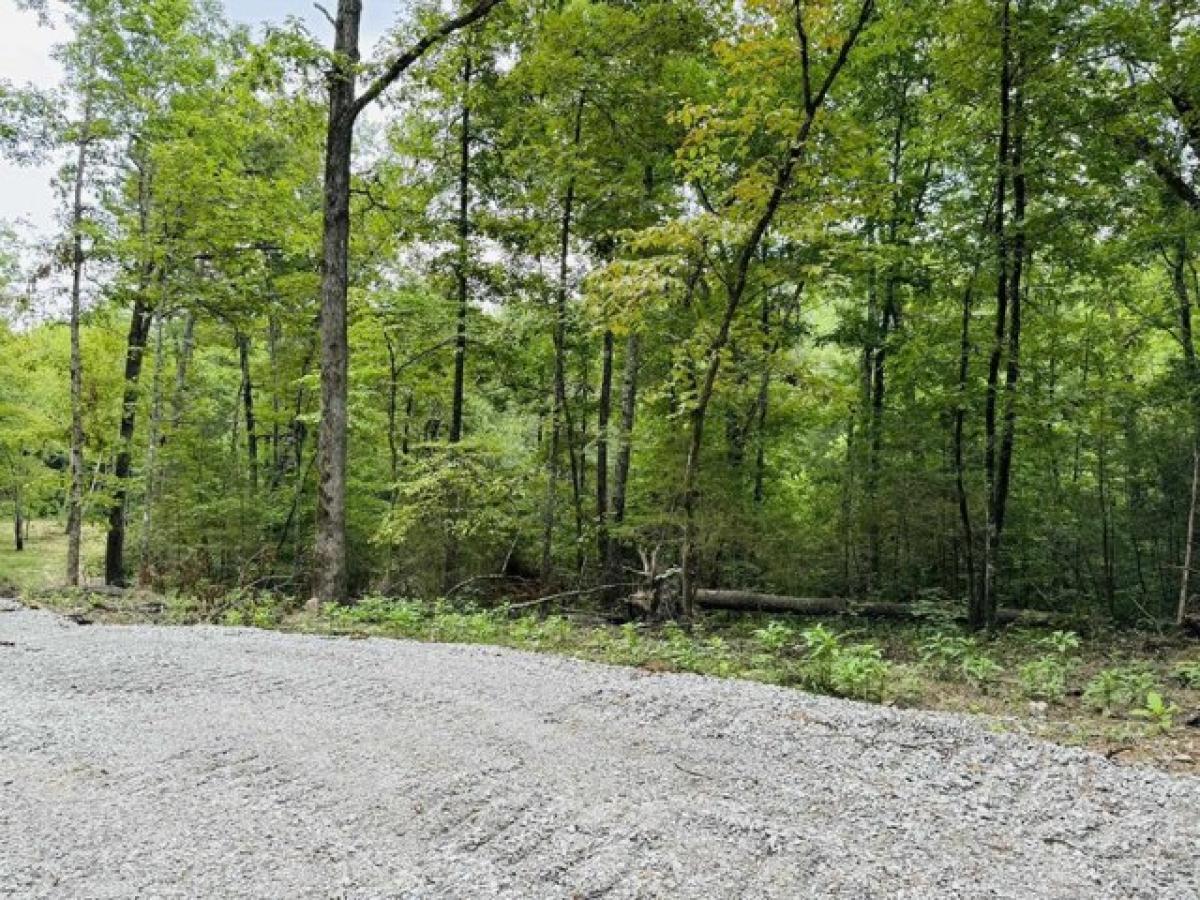 Picture of Residential Land For Sale in Melbourne, Arkansas, United States