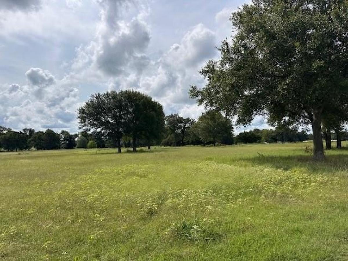 Picture of Residential Land For Sale in Wills Point, Texas, United States