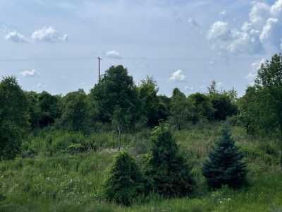 Residential Land For Sale in Casnovia, Michigan