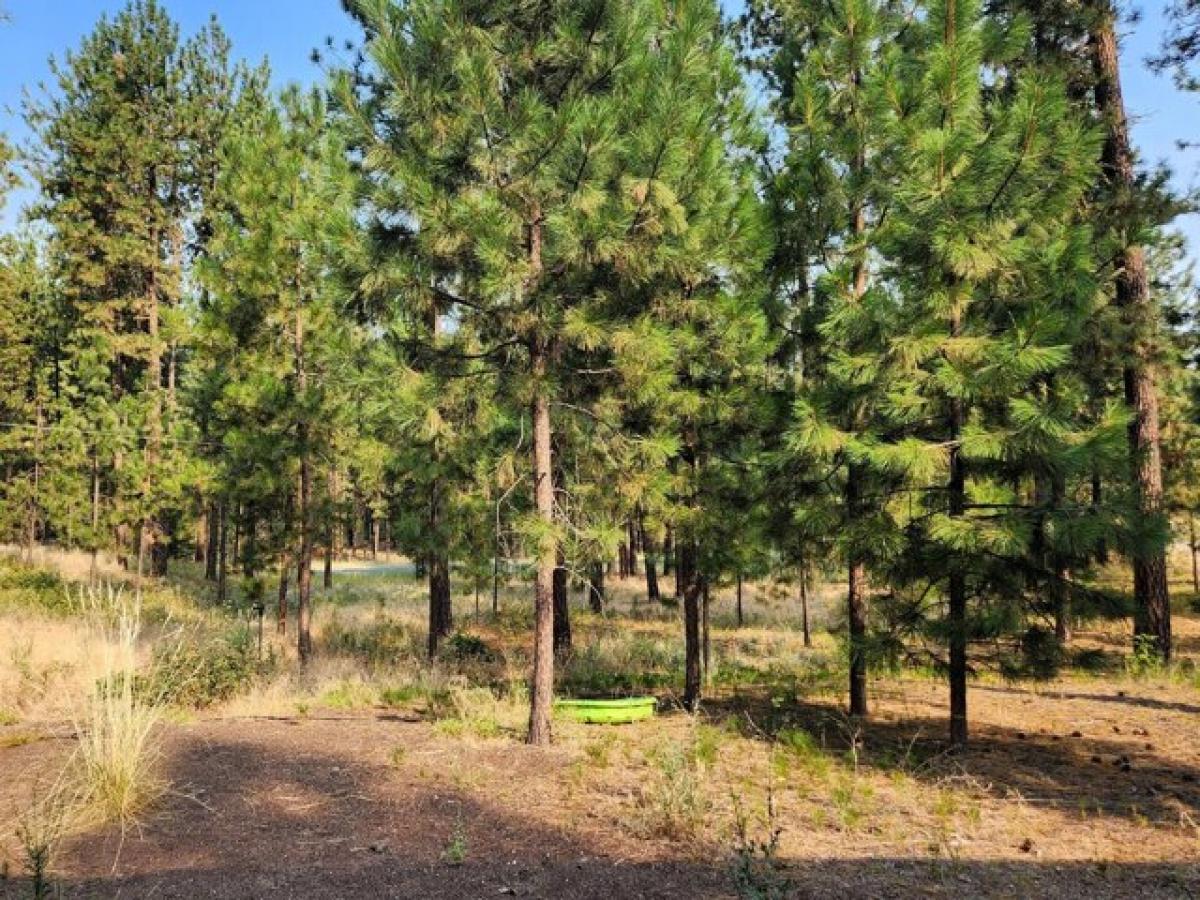 Picture of Home For Sale in Kettle Falls, Washington, United States