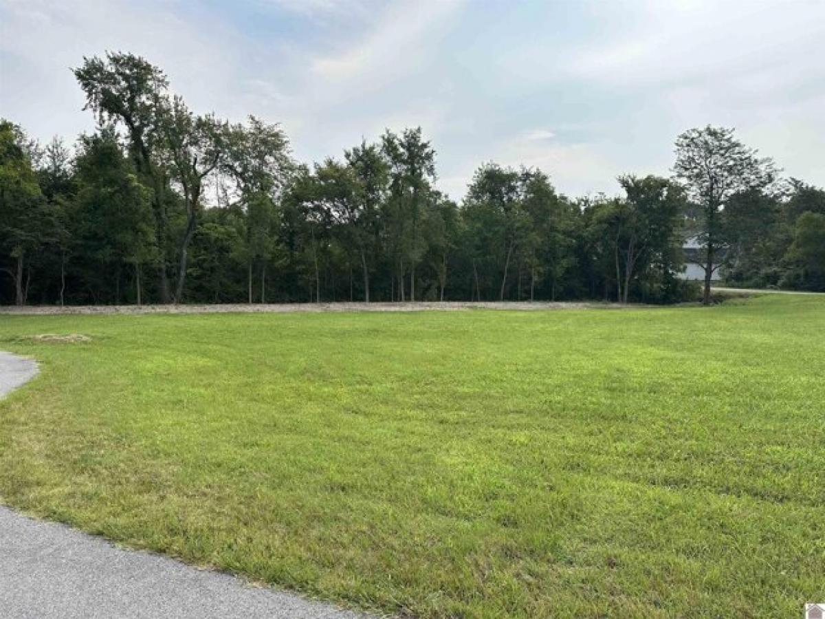 Picture of Residential Land For Sale in Benton, Kentucky, United States