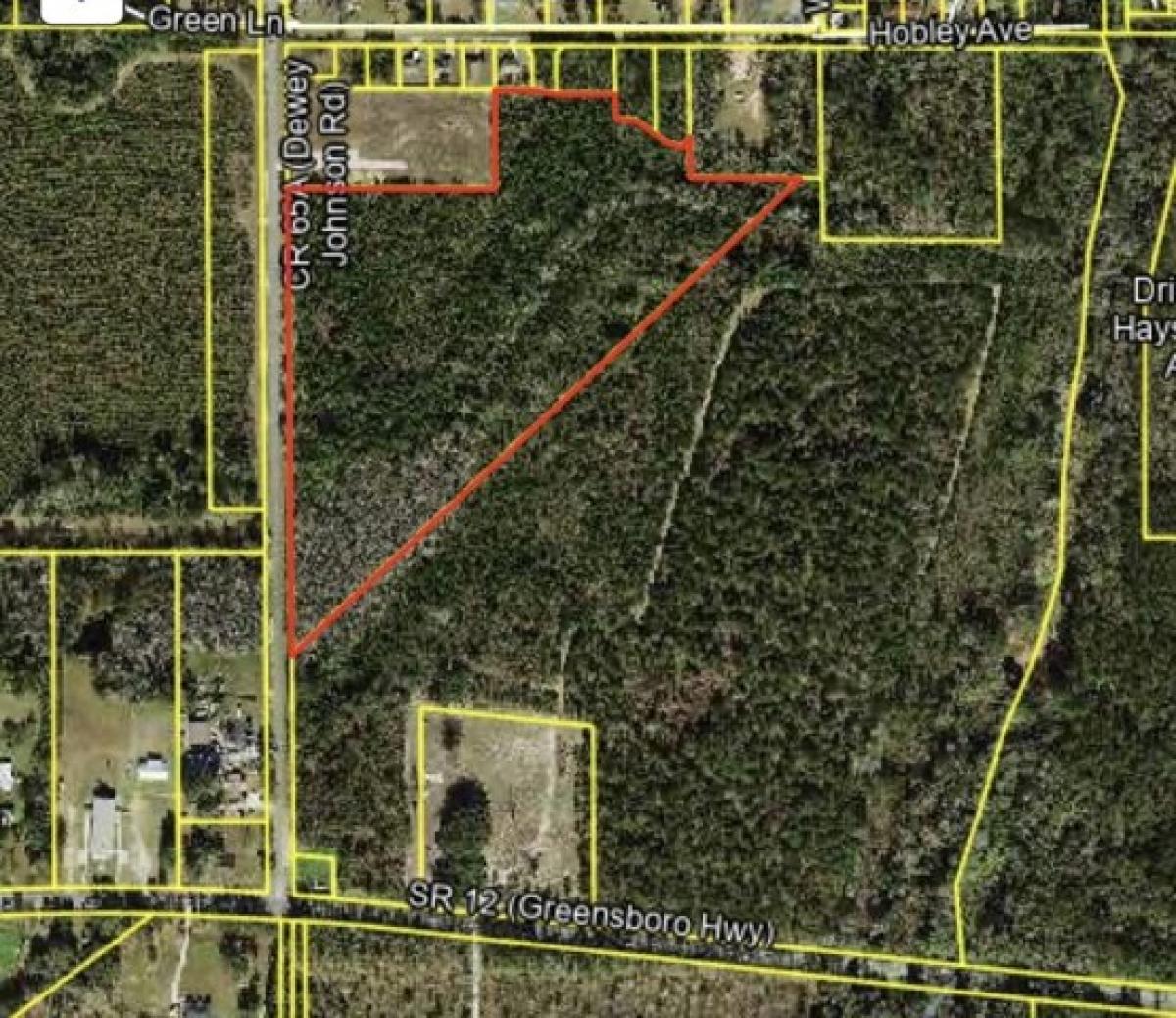 Picture of Residential Land For Sale in Gretna, Florida, United States