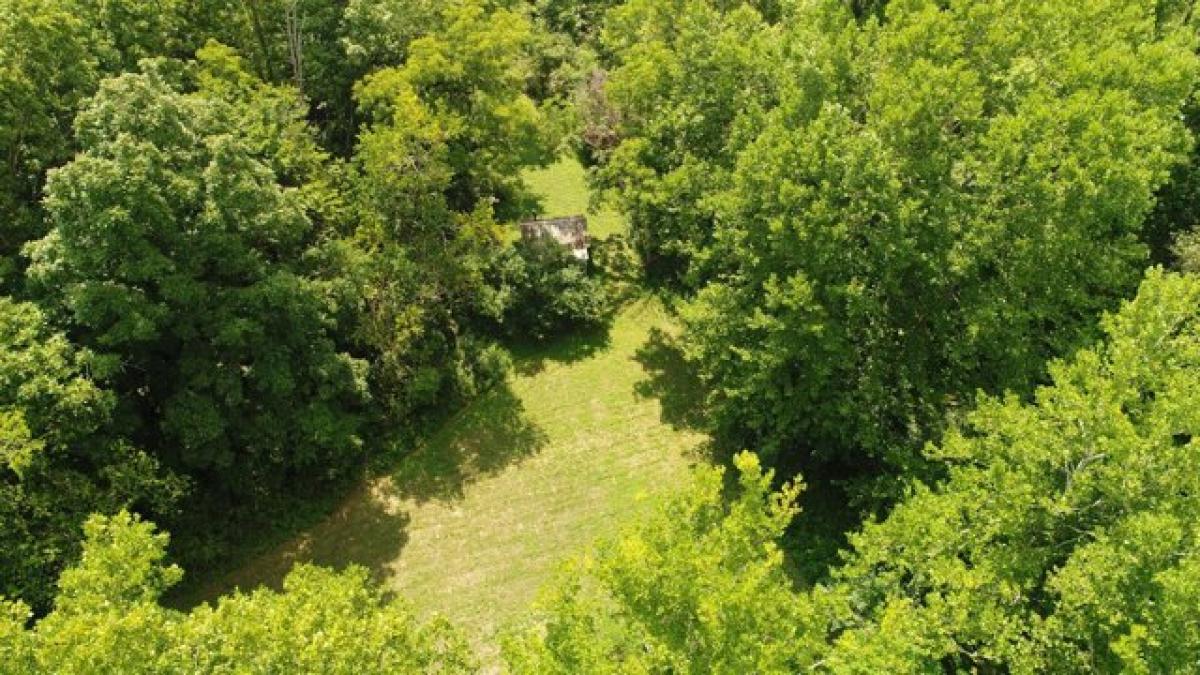 Picture of Home For Sale in Harrodsburg, Kentucky, United States