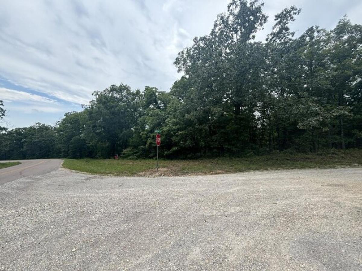 Picture of Residential Land For Sale in Willow Springs, Missouri, United States