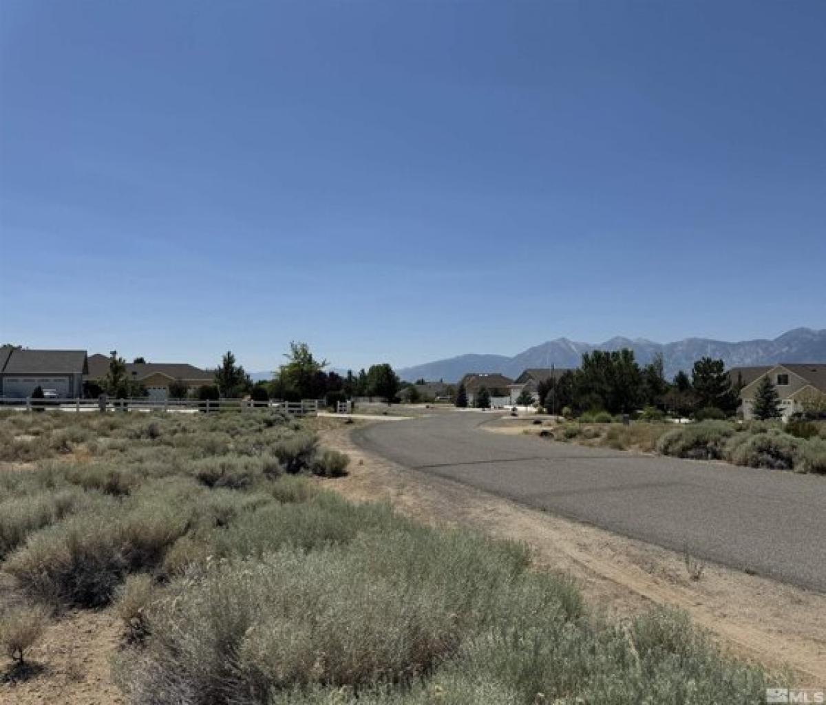 Picture of Residential Land For Sale in Minden, Nevada, United States