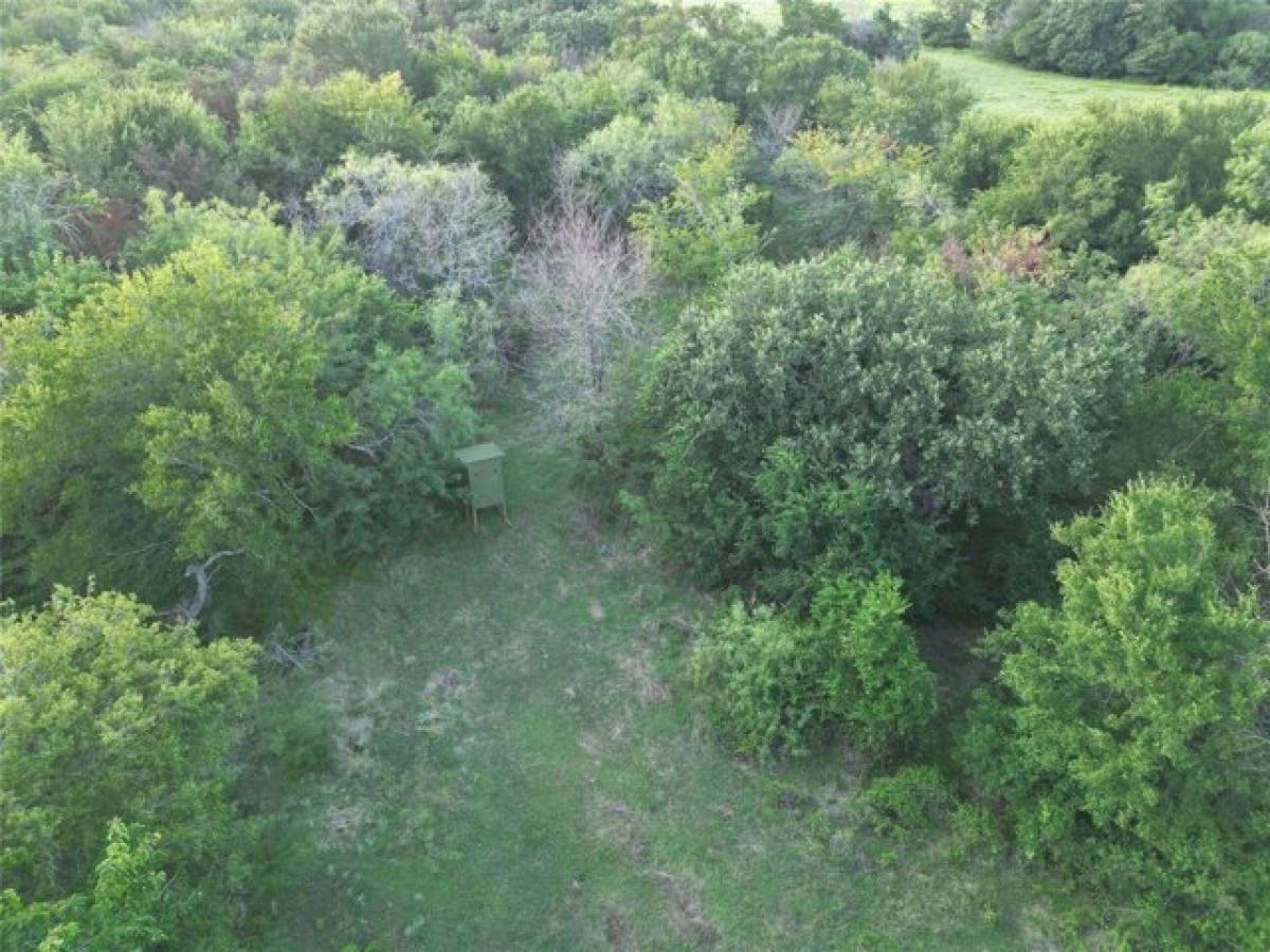 Picture of Residential Land For Sale in Hillsboro, Texas, United States