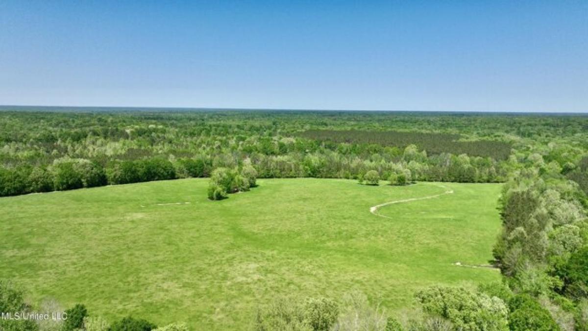 Picture of Residential Land For Sale in Bolton, Mississippi, United States