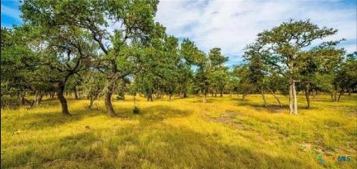 Picture of Residential Land For Sale in Harper, Texas, United States