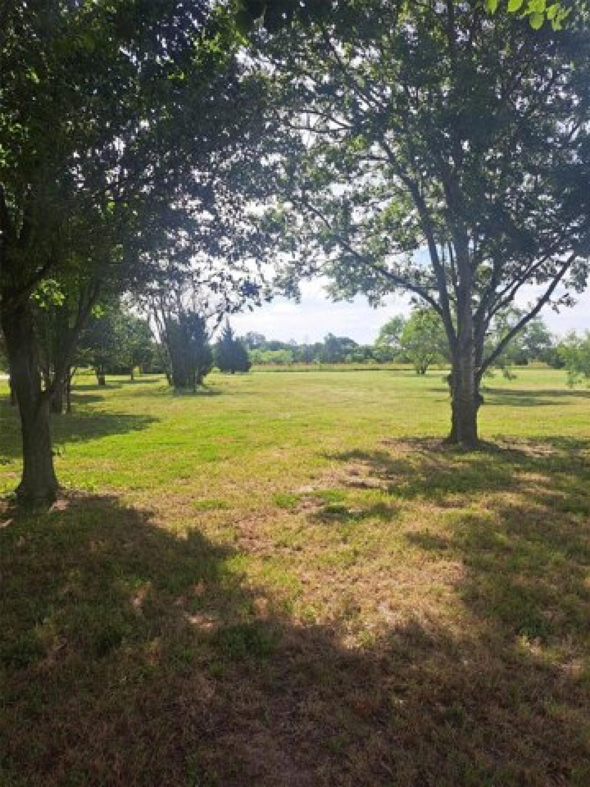 Picture of Residential Land For Sale in Wills Point, Texas, United States