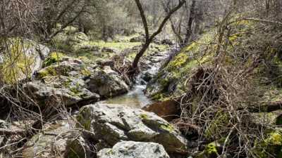 Residential Land For Sale in Coulterville, California