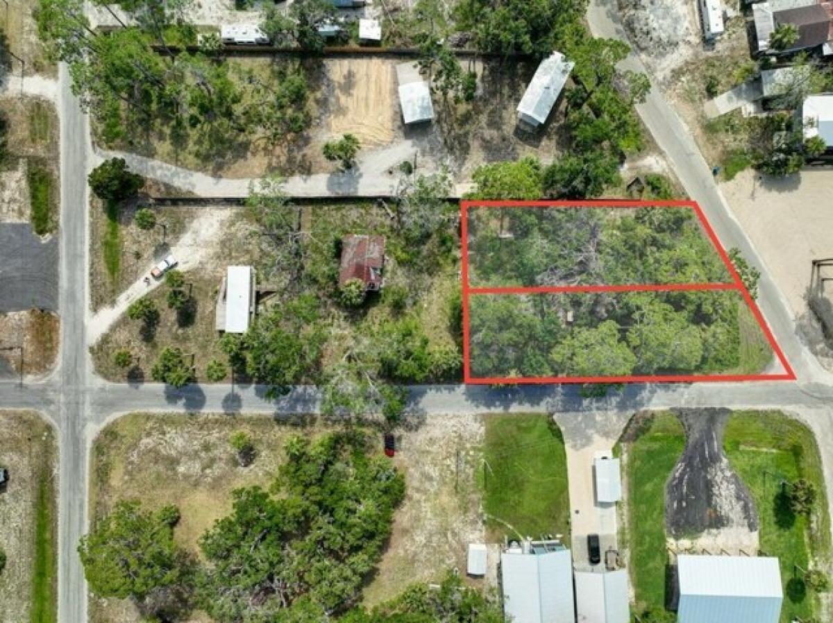 Picture of Residential Land For Sale in Steinhatchee, Florida, United States