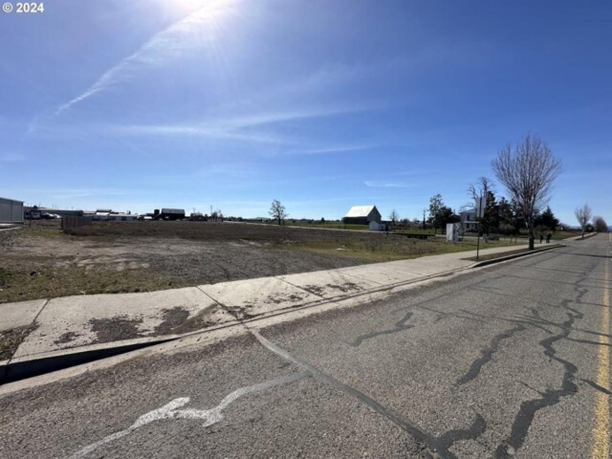 Picture of Residential Land For Sale in Goldendale, Washington, United States