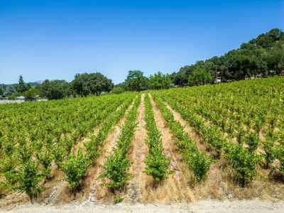 Residential Land For Sale in Ukiah, California