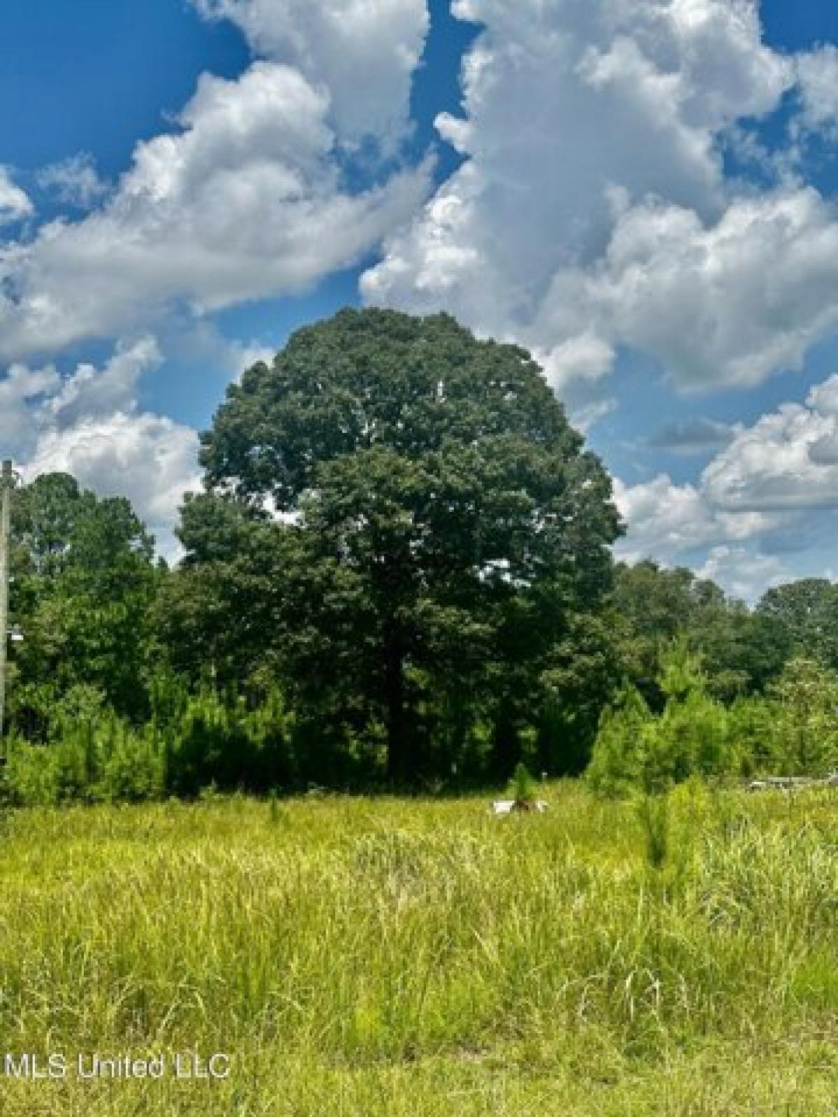 Picture of Residential Land For Sale in Lucedale, Mississippi, United States