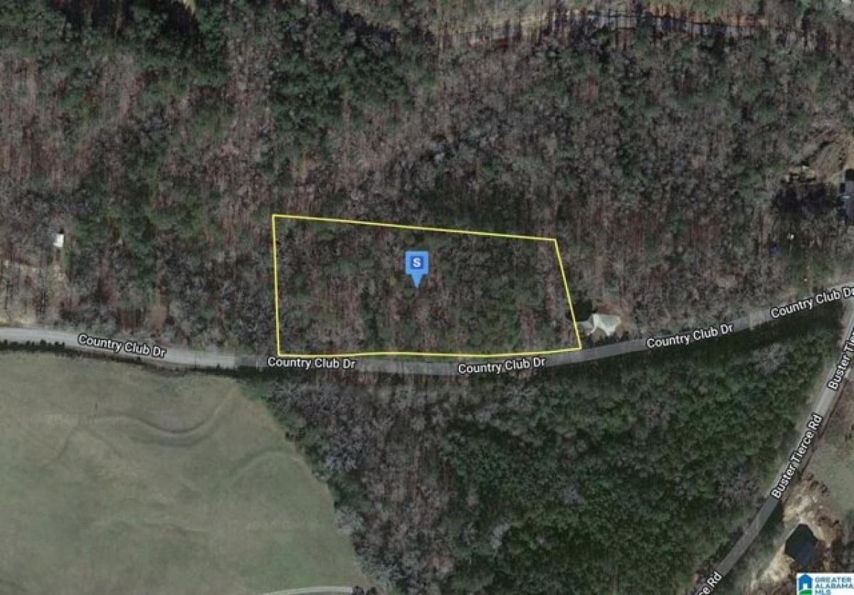 Picture of Residential Land For Sale in Northport, Alabama, United States