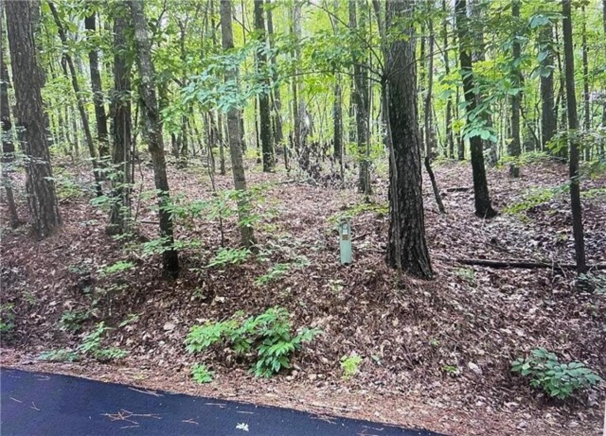 Picture of Residential Land For Sale in Villa Rica, Georgia, United States