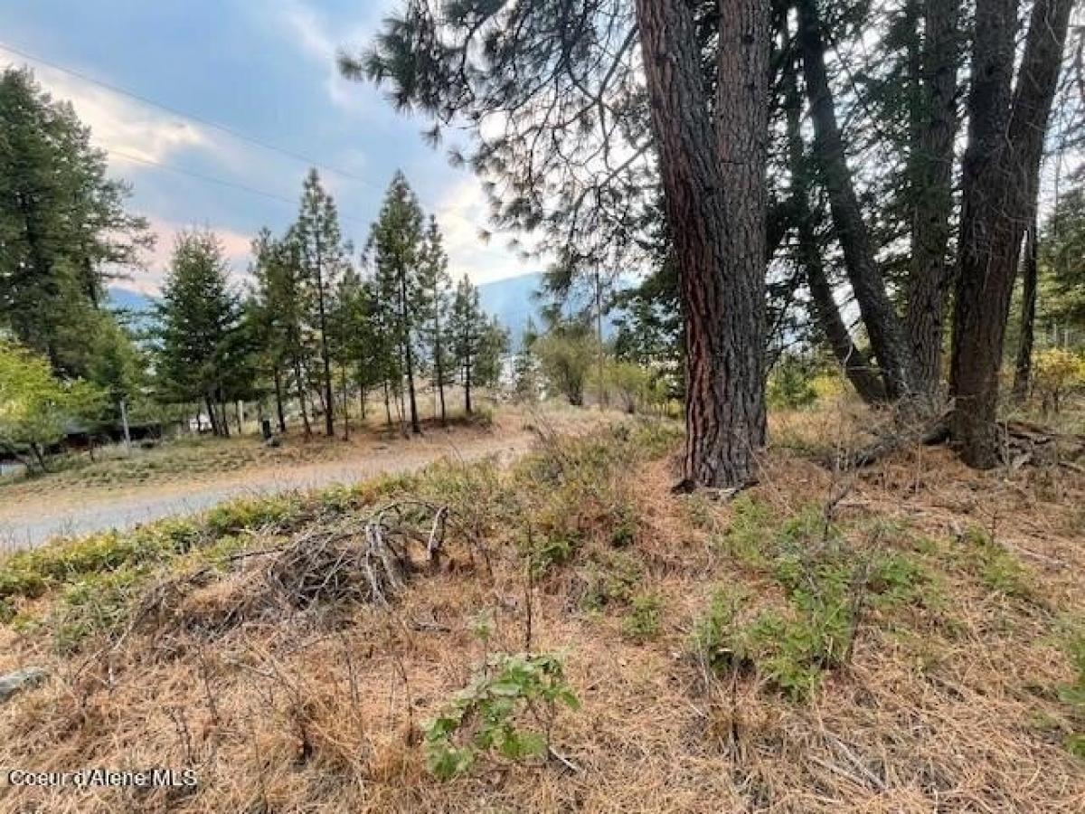 Picture of Residential Land For Sale in Bayview, Idaho, United States