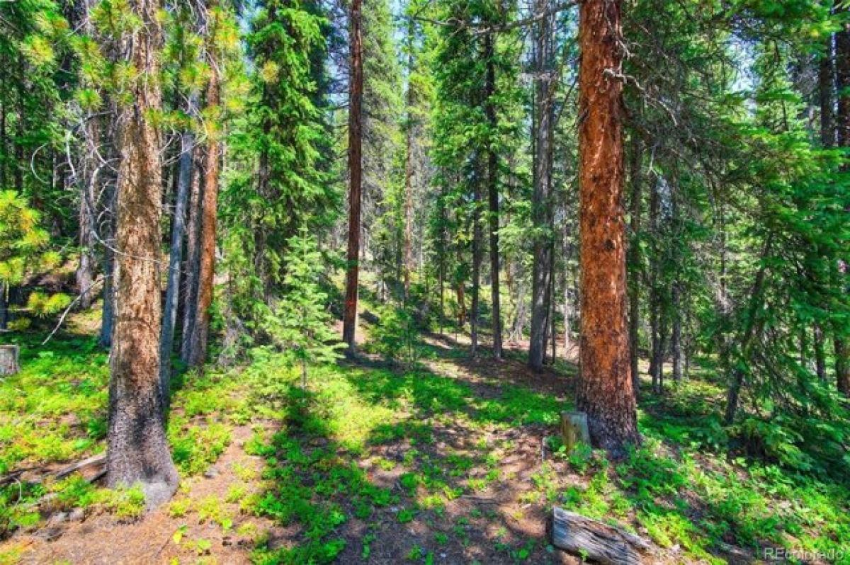 Picture of Residential Land For Sale in Breckenridge, Colorado, United States