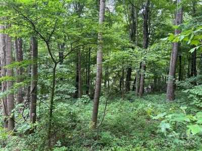 Residential Land For Sale in Black Mountain, North Carolina