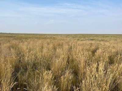 Residential Land For Sale in Wolf Point, Montana