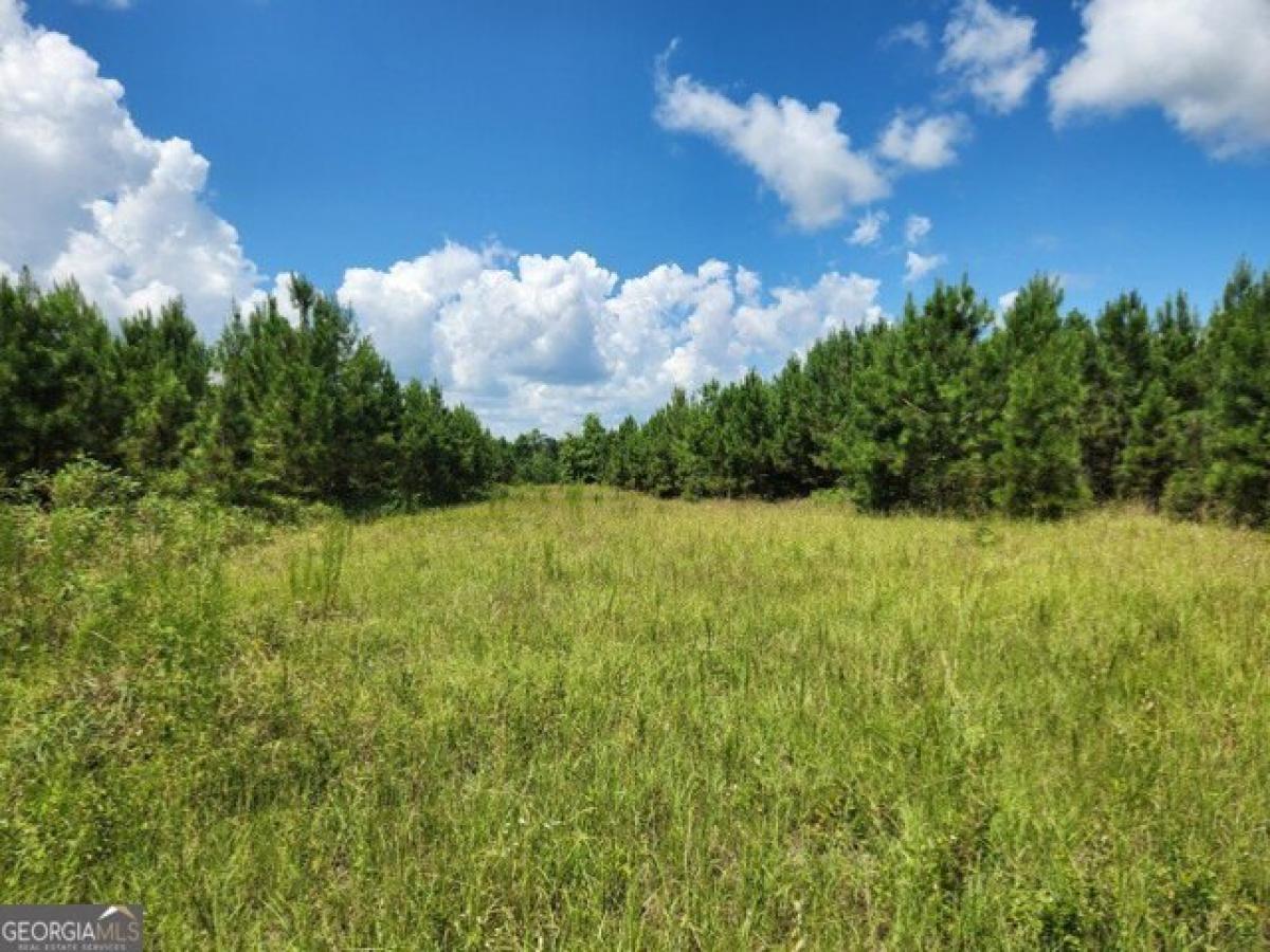 Picture of Residential Land For Sale in Fort Gaines, Georgia, United States