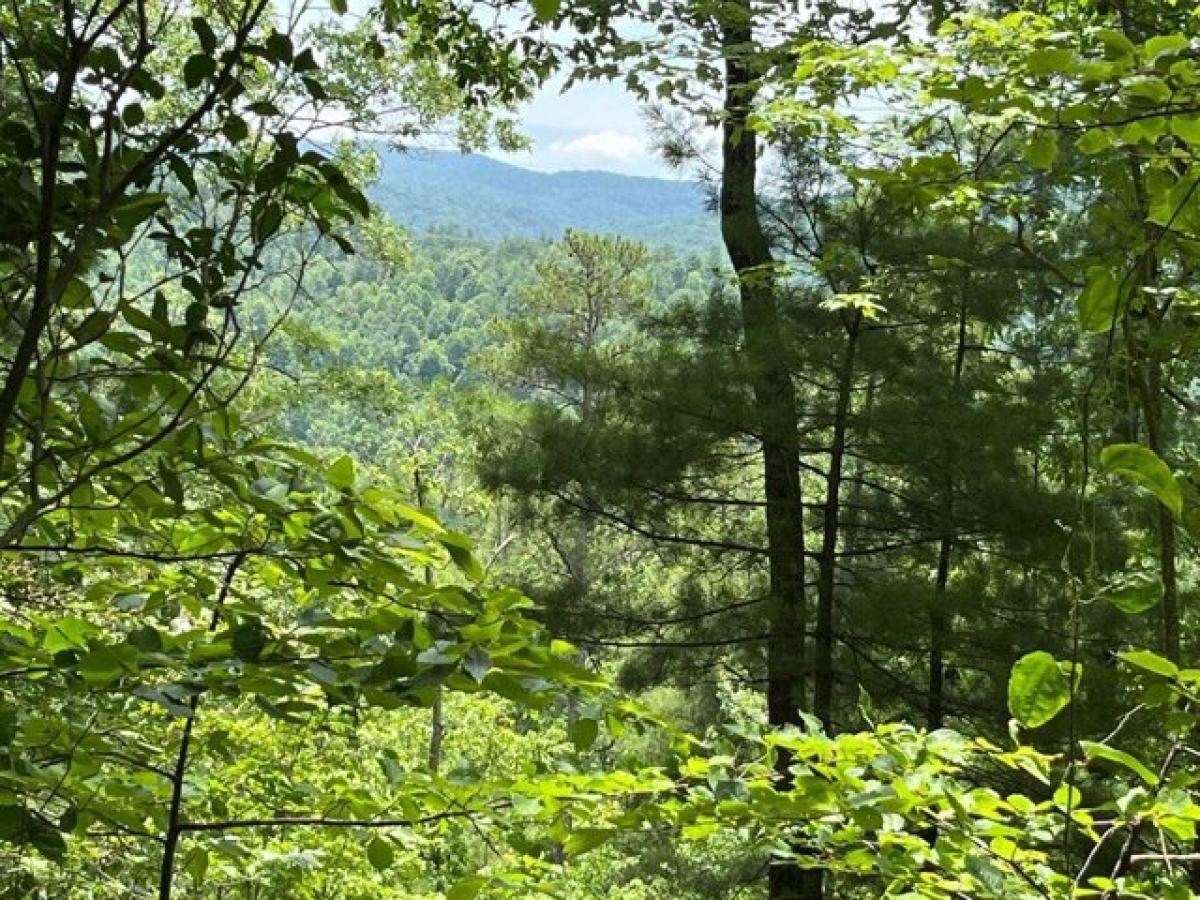 Picture of Residential Land For Sale in Hartford, Tennessee, United States