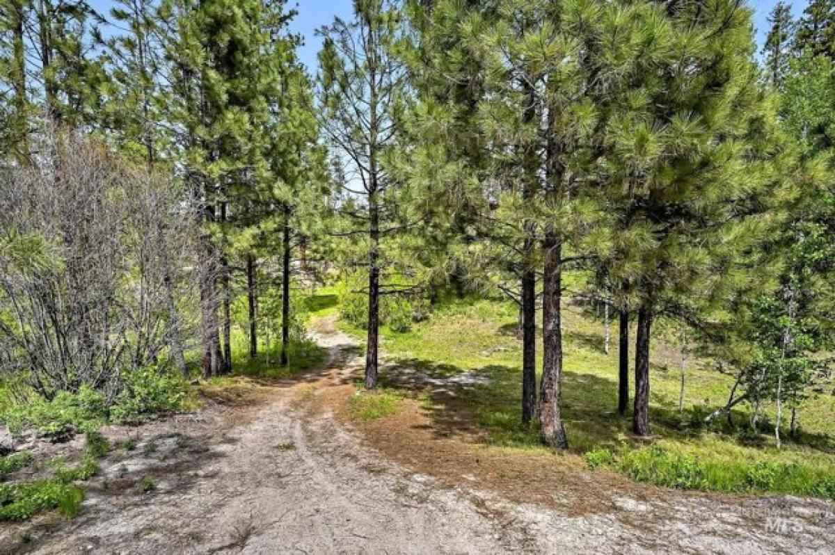 Picture of Residential Land For Sale in Idaho City, Idaho, United States