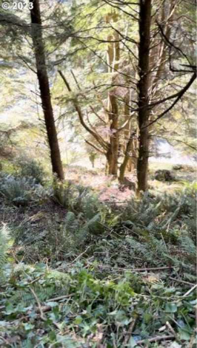 Residential Land For Sale in Otter Rock, Oregon