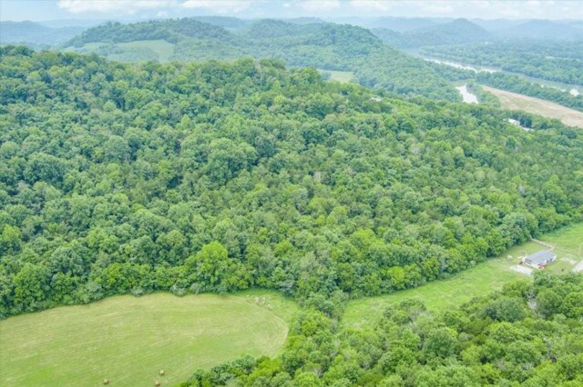 Picture of Residential Land For Sale in Gainesboro, Tennessee, United States