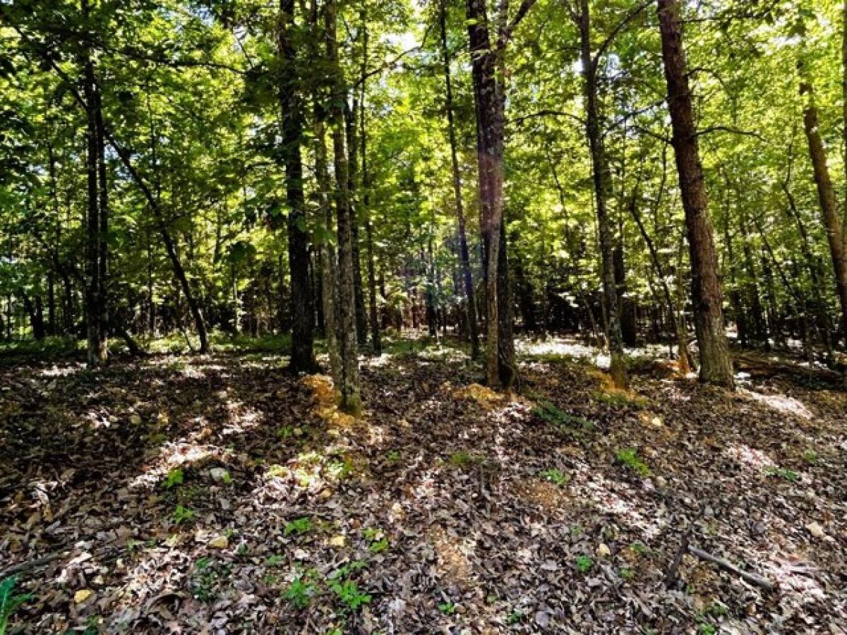 Picture of Residential Land For Sale in Decatur, Tennessee, United States