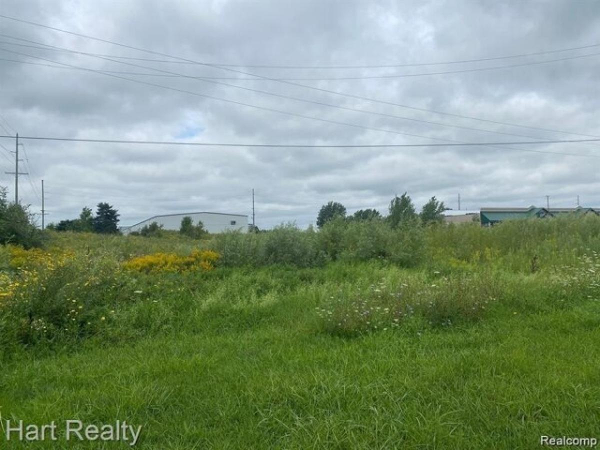 Picture of Residential Land For Sale in Marlette, Michigan, United States