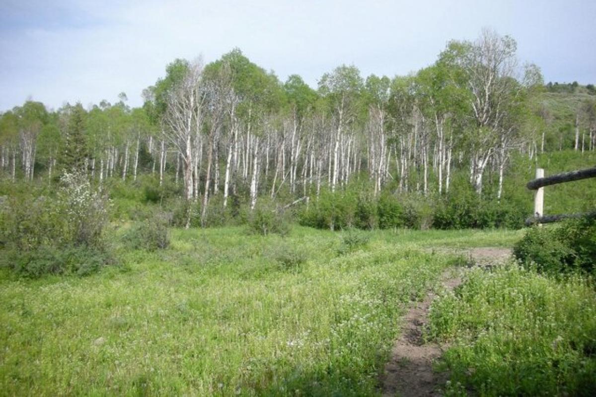 Picture of Residential Land For Sale in Jackson, Wyoming, United States