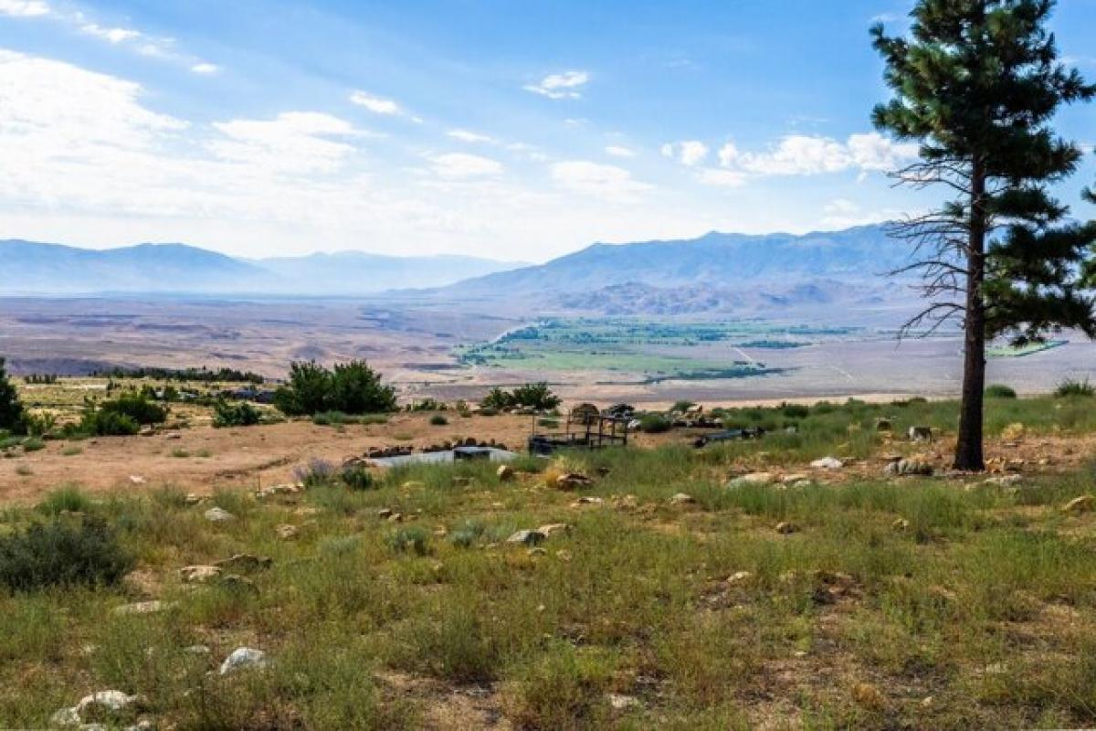 Picture of Residential Land For Sale in Bishop, California, United States