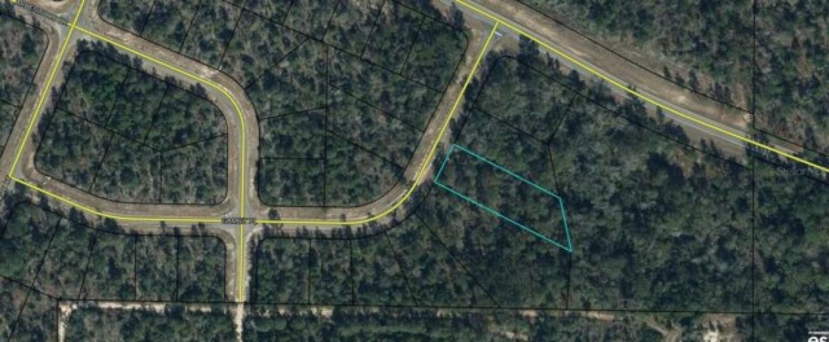 Picture of Residential Land For Rent in Chipley, Florida, United States