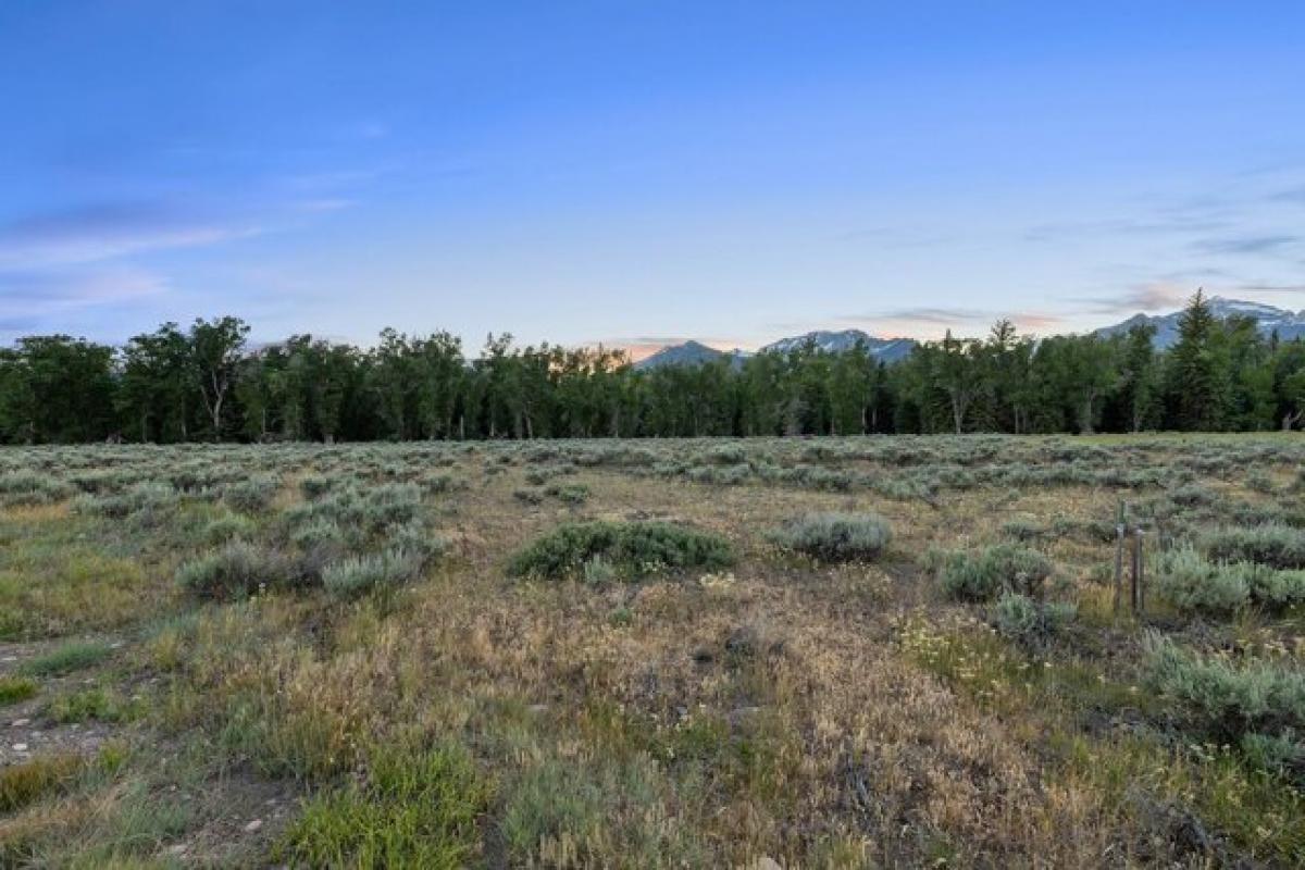 Picture of Residential Land For Sale in Jackson, Wyoming, United States