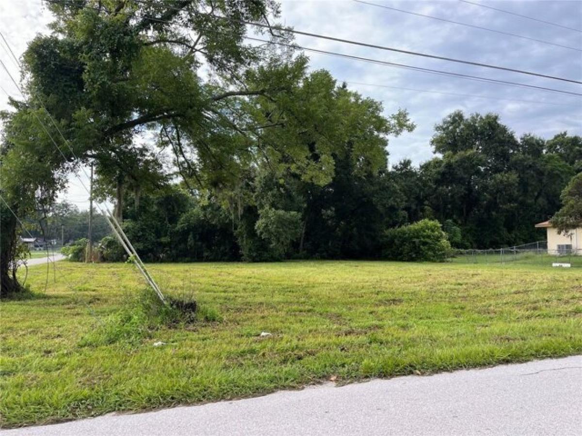 Picture of Residential Land For Sale in Belleview, Florida, United States