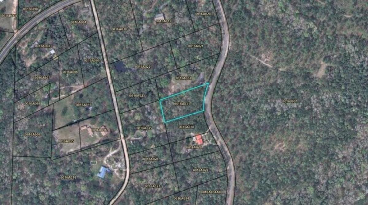 Picture of Residential Land For Sale in Bainbridge, Georgia, United States