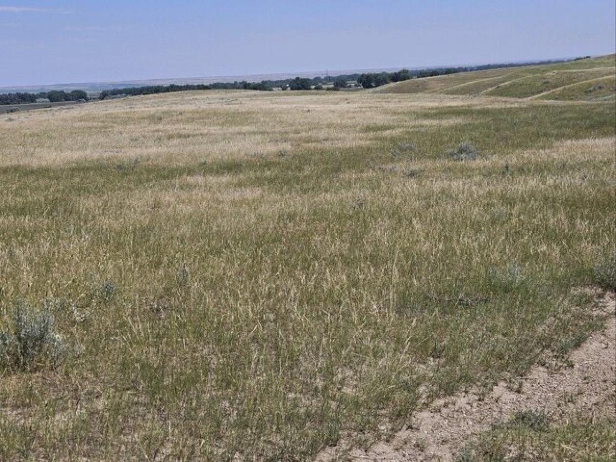 Picture of Residential Land For Sale in Chinook, Montana, United States