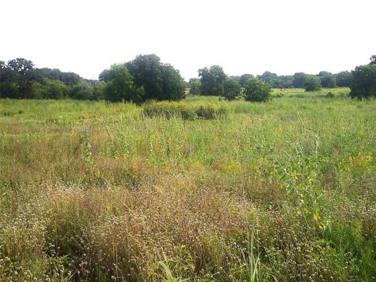 Picture of Residential Land For Sale in Bowie, Texas, United States