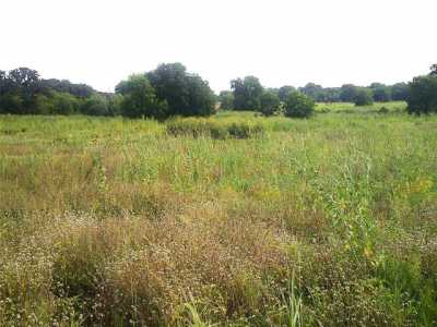 Residential Land For Sale in Bowie, Texas