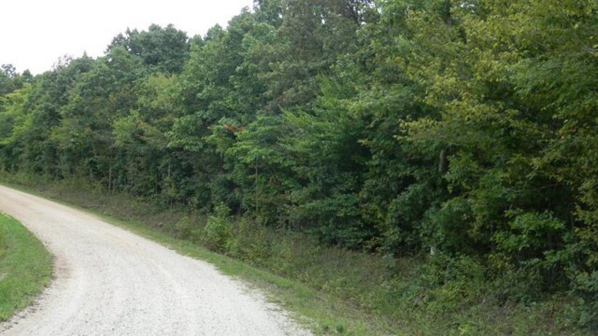 Picture of Residential Land For Sale in Hurricane Mills, Tennessee, United States