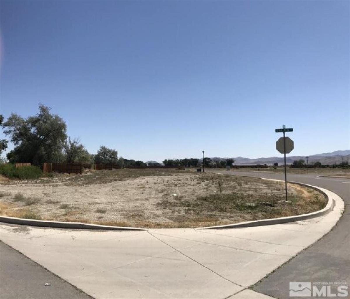 Picture of Residential Land For Sale in Yerington, Nevada, United States