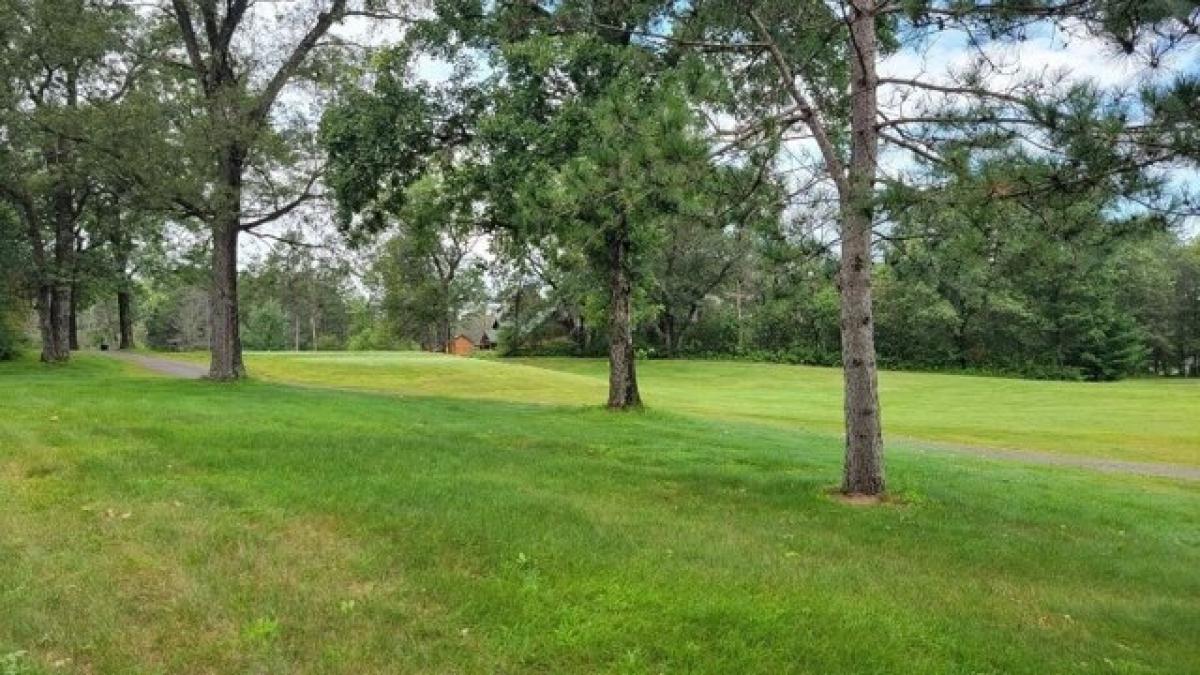 Picture of Residential Land For Sale in Nekoosa, Wisconsin, United States