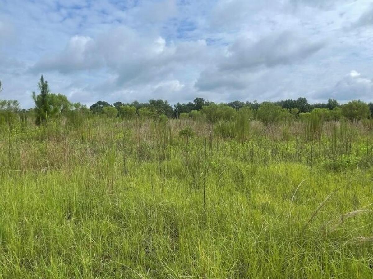 Picture of Residential Land For Sale in Ailey, Georgia, United States